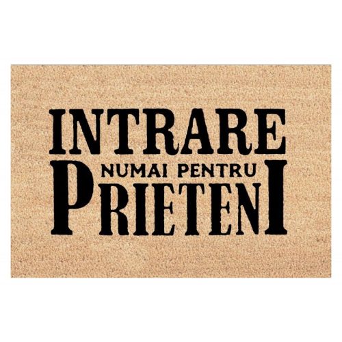 covor intrare friends