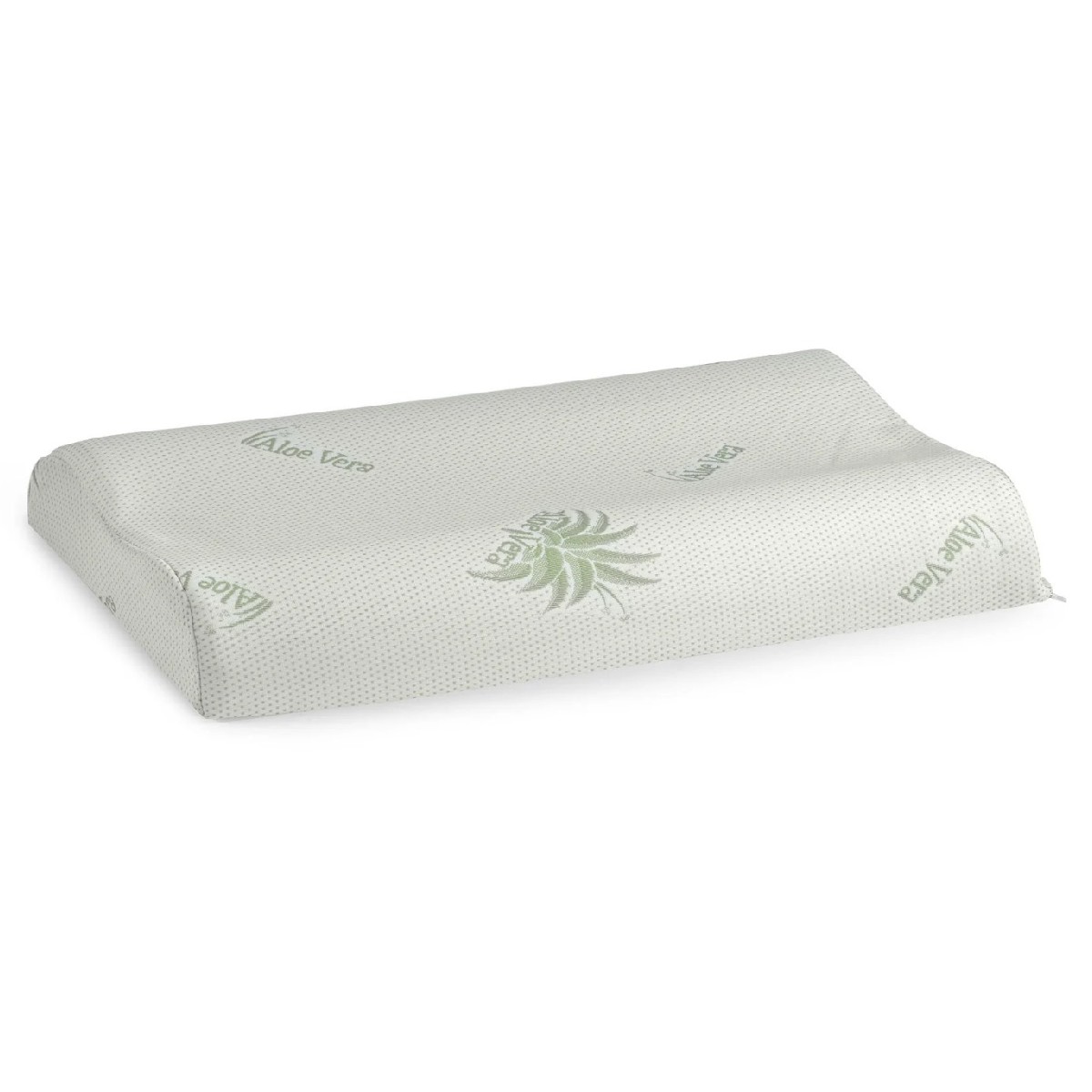 perna anatomica aloe vera memorie perna anatomica aloe vera memorie